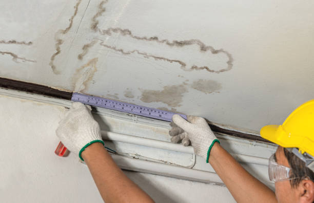Reliable Mold Remediation contractor in Saint Clair, MI by Local Water Damage Repair